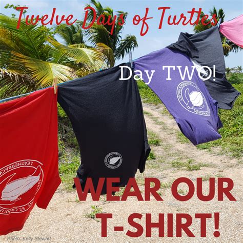 Day Two Wear Our T Shirt The St Croix Sea Turtle Project