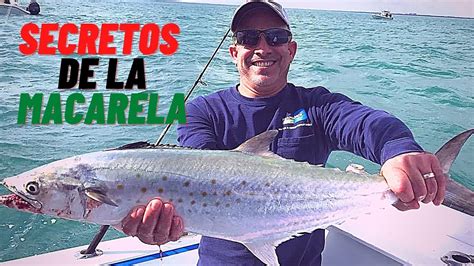 Como Preparar Un Lider Para La Pesca De La Macarela Y Serruchos YouTube