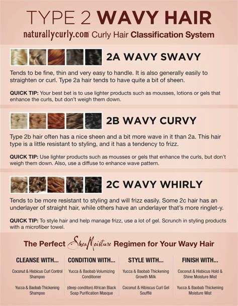 Curls can be curled and styled in a plethora of ways and your stylist will know the right way to cut your hair to give them a stylish and attractive look. TYPE 2 - WAVY HAIR CHART | Info Charts,Menus and More ...