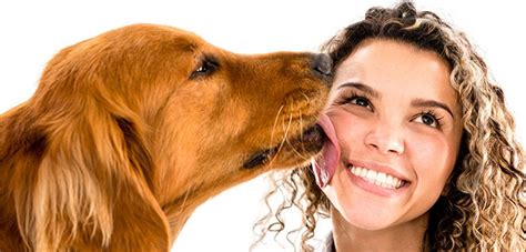 Why Do Dogs Lick Kiss