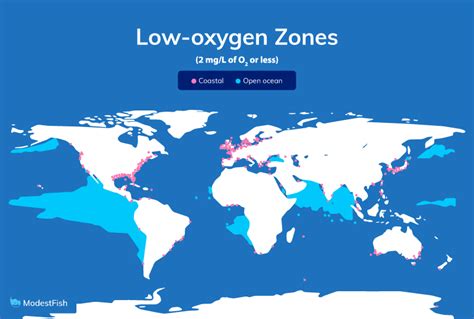 What Is A Dead Zone And How Are They Caused