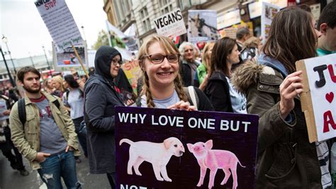 The Rise Of The Vegans Are We Falling Out Of Love With Meat Uk News
