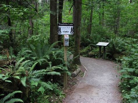 Wheelchair Wandering Accessible Trails In Washington State