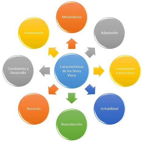 PRINCIPALES CARACTERÍSTICAS DE LOS SERES VIVOS - Biología I
