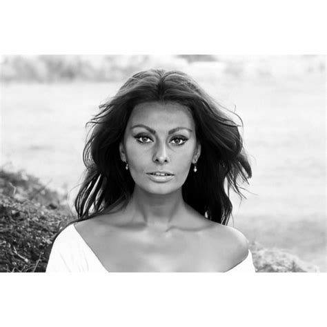 Sophia Loren 1964 Tumblr Pics