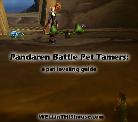 How To Beat The Battle Pet Tamers Pandaria Quests World Of Warcraft