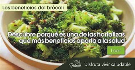 Brócoli Beneficios Sorprendentes Propiedades Para La Salud