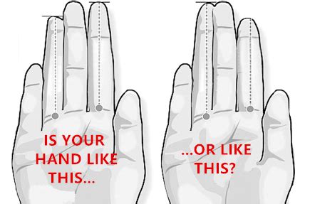 Index Finger Vs Ring Finger Length