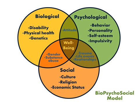 Basic Principle Of The Biopsychosocial Model Kulturaupice