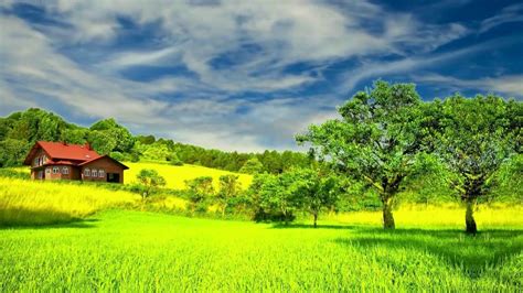 Hd 1080p Beautiful Green Nature Scenery Video Royalty Free Landscape