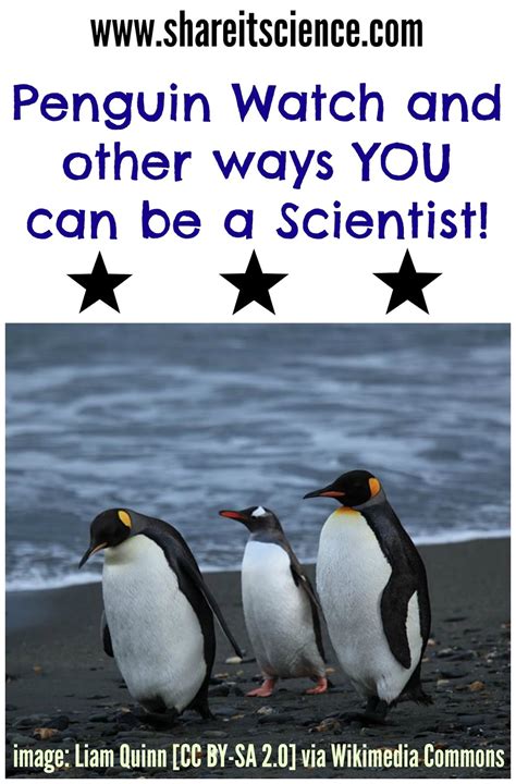 Share It Science Penguin Watch And Other Ways You Can Be A Scientist