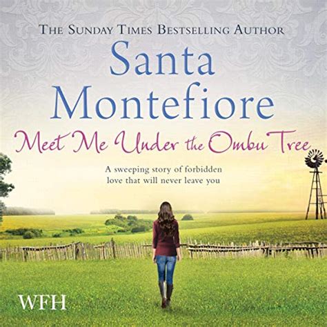 meet me under the ombu tree by santa montefiore audiobook au