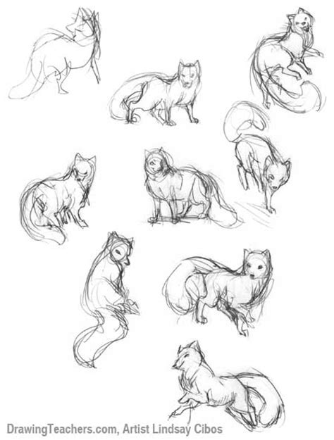 Cartoon Fox How To Draw A Fox Step By Step