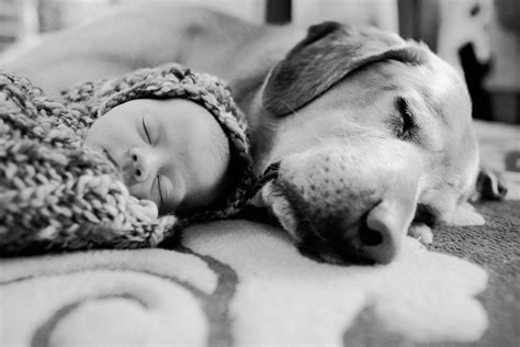 It Takes Two Dogs And Kids Animals For Kids Cute Animals Newborn