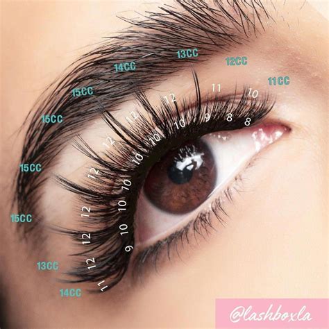 Cluster Eyelash Extensions Make Eyelashes Grow Eyelash Extensions