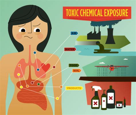 Environmental Toxins Back To Health Wellness Centre