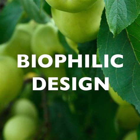 Health Benefits Of Using Biophilia In Interiors Biophilic Design