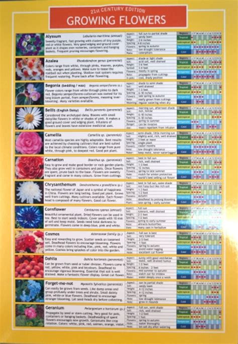 Flower Seed Germination Chart