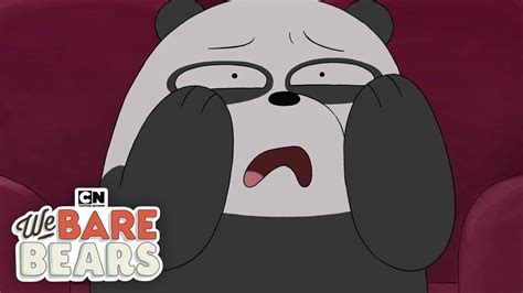 We Bare Bears Panda The Germaphobe Cartoon Network Onepiece Spring