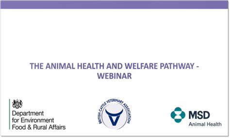 The Animal Health And Welfare Pathway Msd Animal Health Hub
