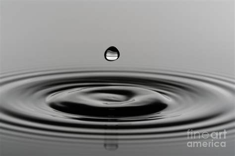 Water Drop Impact Photograph By Wladimir Bulgarscience Photo Library