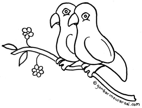 Gambar Mewarnai Burung Lovebird - Gambar Mewarnai