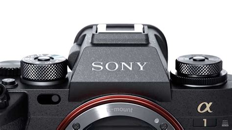Sony A1 vs Sony A9 II, Sony A7R IV, Sony A7S III, Sony A7 III | Camera 