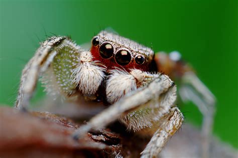 Colorful Jumper Pentax User Photo Gallery