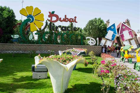 Florists & floral designers, companies & businesses. Dubai Miracle Garden: A flower paradise - Passion for Dubai