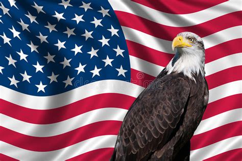 Usa Flag With Bald Eagle Stock Illustration Illustration