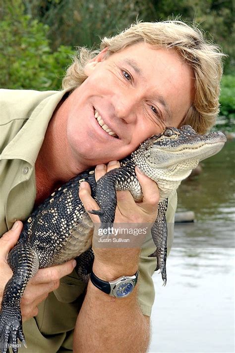 the crocodile hunter steve irwin poses with a three foot long news photo getty images