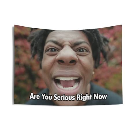 Ishowspeed Are You Serious Right Now Poster Banner Flag Etsy Uk