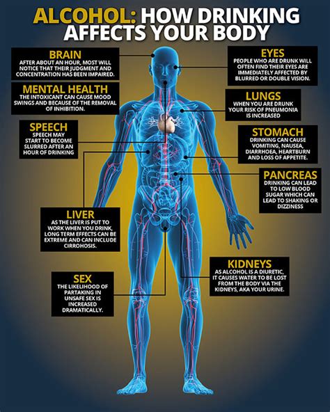 This Is What Happens To Your Body One Hour After Drinking Alcohol Health Life And Style