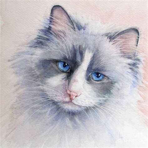 Ragdoll Cat Painting By Bonnie Rinier Fine Art America