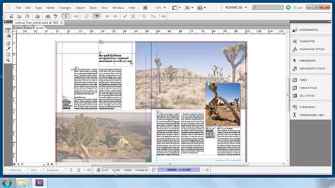 InDesign and InCopy: Collaborative Workflows | Indesign, Indesign