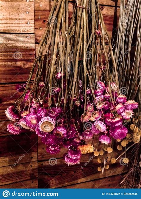 Hanging plants indoor plants hanging herb gardens hanging flowers broadway cotswolds flower chandelier decoration maybe flowers are our truest language. Pink And Yellow Dried Flowers Hanging Upside Down On A ...