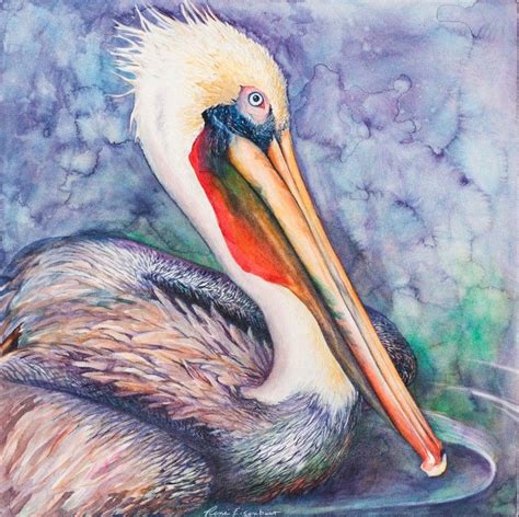 Brown Pelican Pelican Art Bird Art Watercolor Art