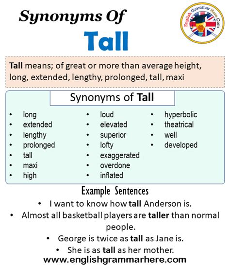 Synonyms Of Tall Tall Synonyms Words List Meaning And Example