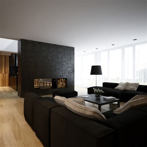 modern minimalist black  white lofts