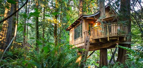 1. Treehouse Resorts: A Fun and Adventurous Stay