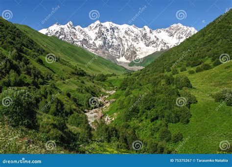 Grassy Valley And Snow Capped Mountains In Georgia Stock Image Image