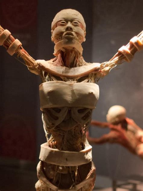 Changing the way women see themselves. Perfectly preserved human bodies artistically displayed ...