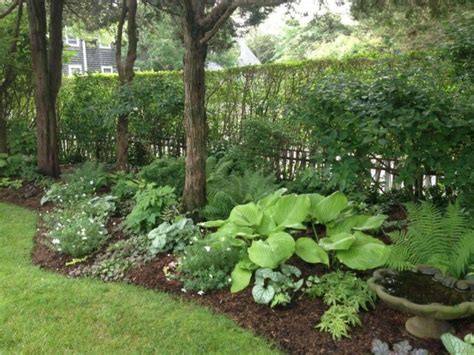 For gardeners living in zone 6 of the plant hardiness map, we have beautiful shrubs, flowering plants, and ground covers that will thrive in your temperate climate! 45 Shade Garden Ideas Under Trees - SILAHSILAH.COM