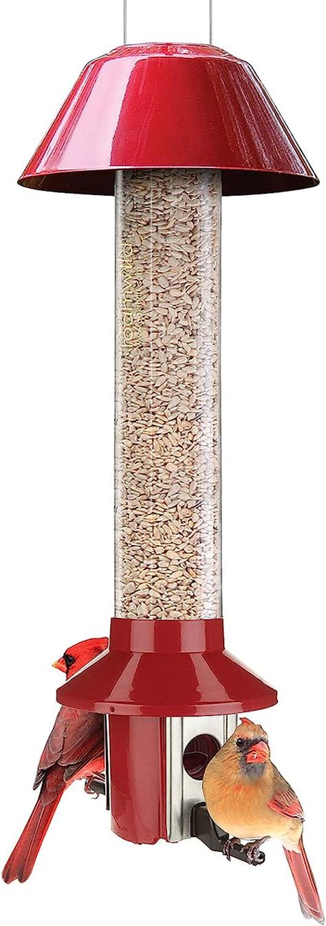 Roamwild Pestoff Red Squirrel Proof Cardinal Bird Feeder