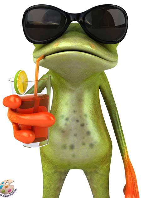 Funny Frog Wallpapers Top Free Funny Frog Backgrounds Wallpaperaccess