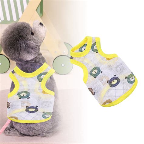 2024 Essentials for Pets, Make Every Day A Fashion Show: Spoil Your Pet