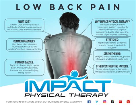 Lower Back Pain Diagnosis Chart