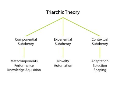 Triarchic Theory (Robert Sternberg) - InstructionalDesign.org