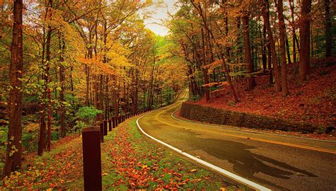Autumn Forest Road Wallpaper Hd Nature 4k Wallpapers