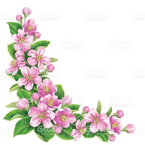 Pink Flower Drawing Free Download On Clipartmag